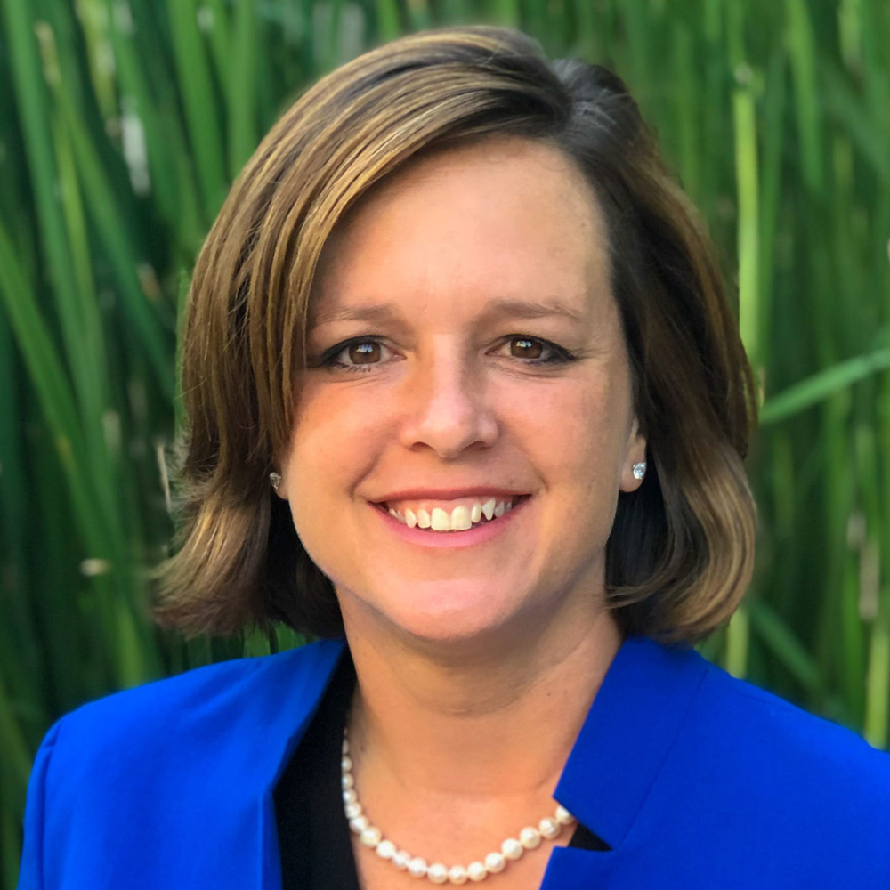 Texas Rep. Ann Johnson details in our Elected Officials Directory The